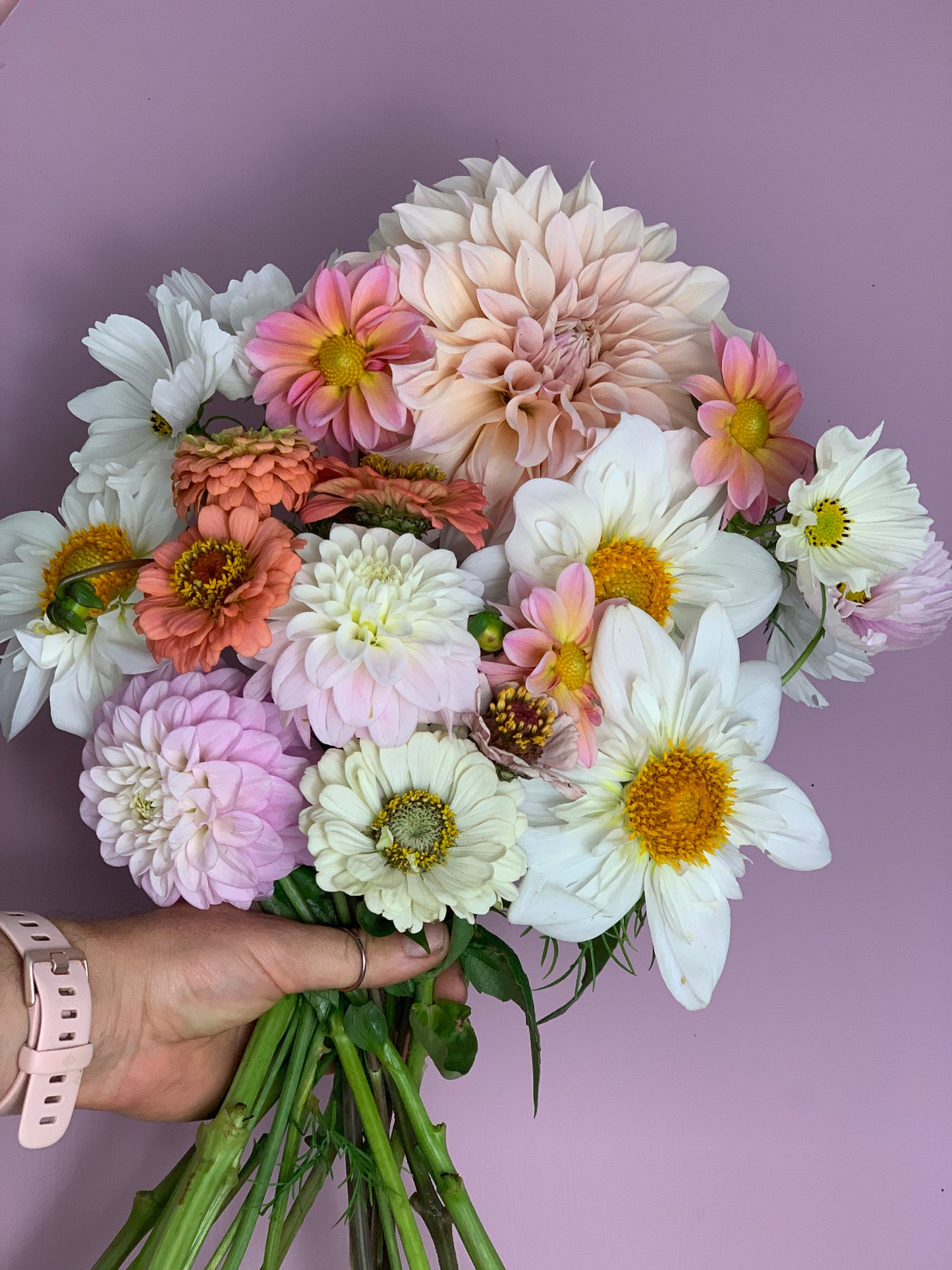 DAHLIA BUNCH