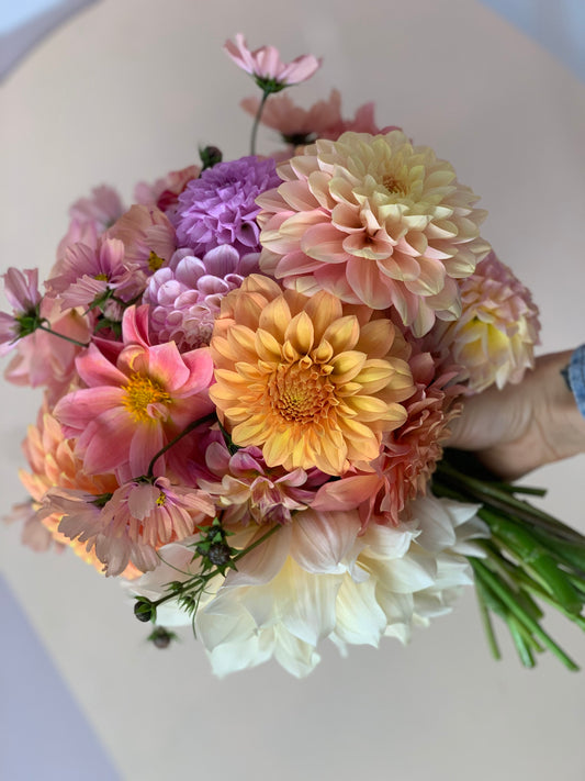 DHALIA BUNCH