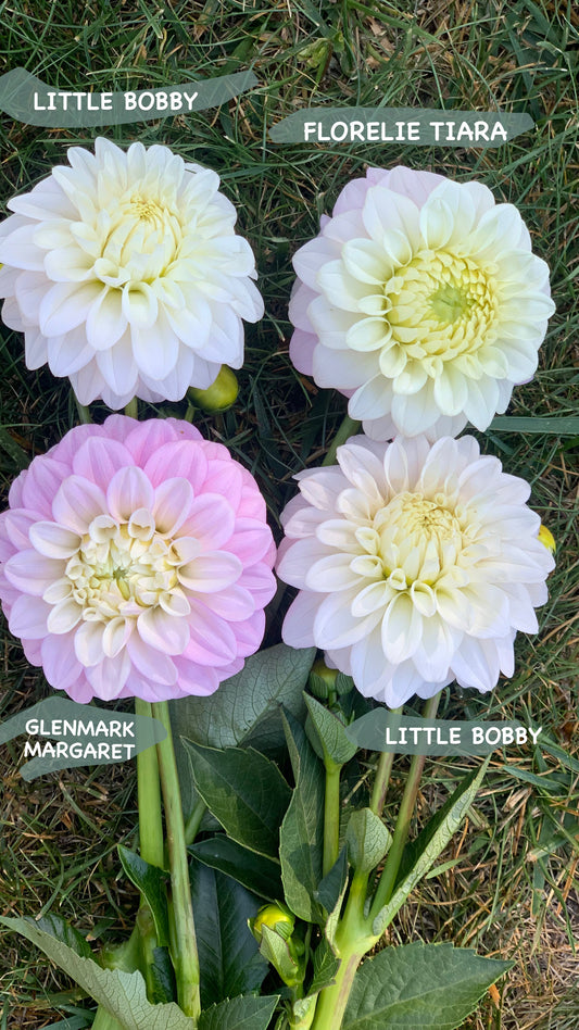 Florelie Tiara