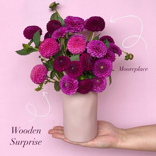Wooden Surprise